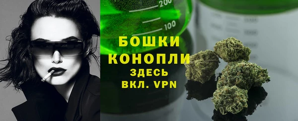 шишки Нефтегорск