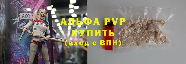 прущие грибы Нефтекумск