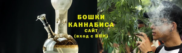 прущие грибы Нефтекумск