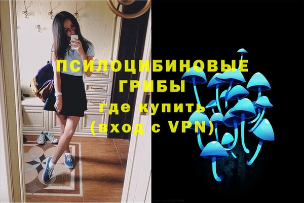 a pvp Абинск